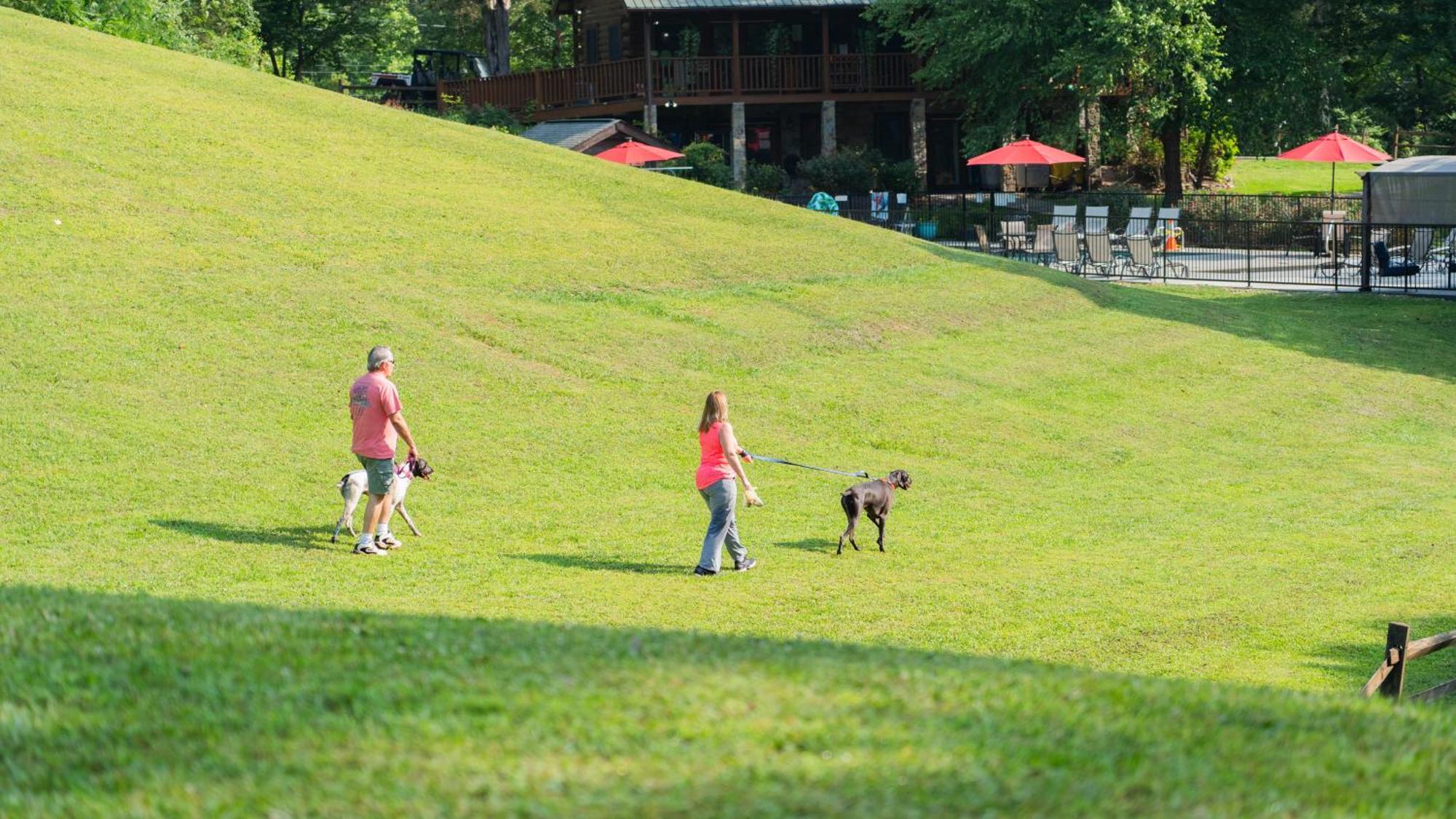 Villa Yoli Bear Hideaway à Sevierville Extérieur photo