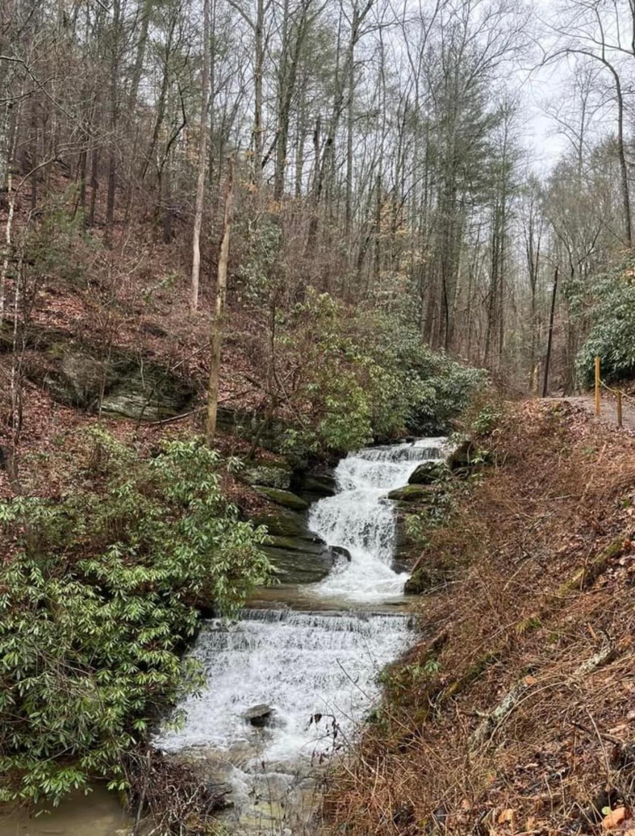 Villa Yoli Bear Hideaway à Sevierville Extérieur photo
